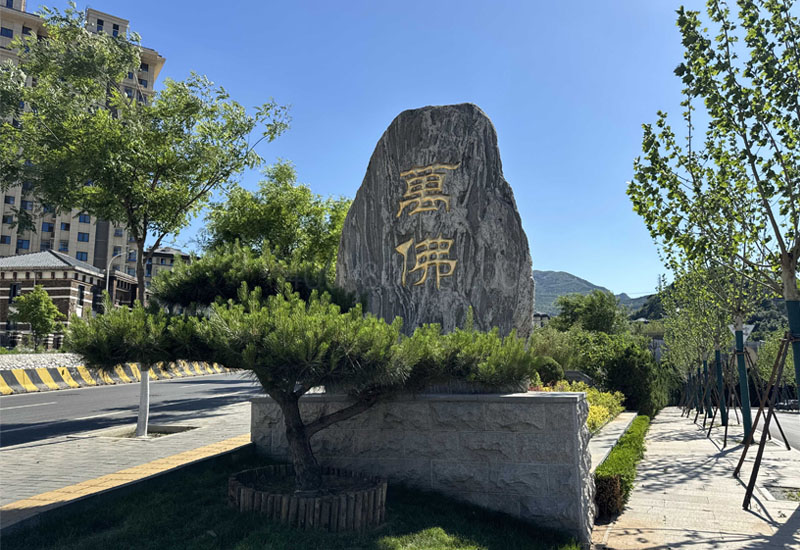 园区环境图